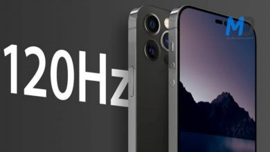 iPhone 14 models expected to have 120 Hz screens, 6GB of RAM
